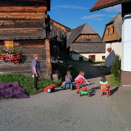 Villa Rettlhof Sankt Peter am Kammersberg Esterno foto