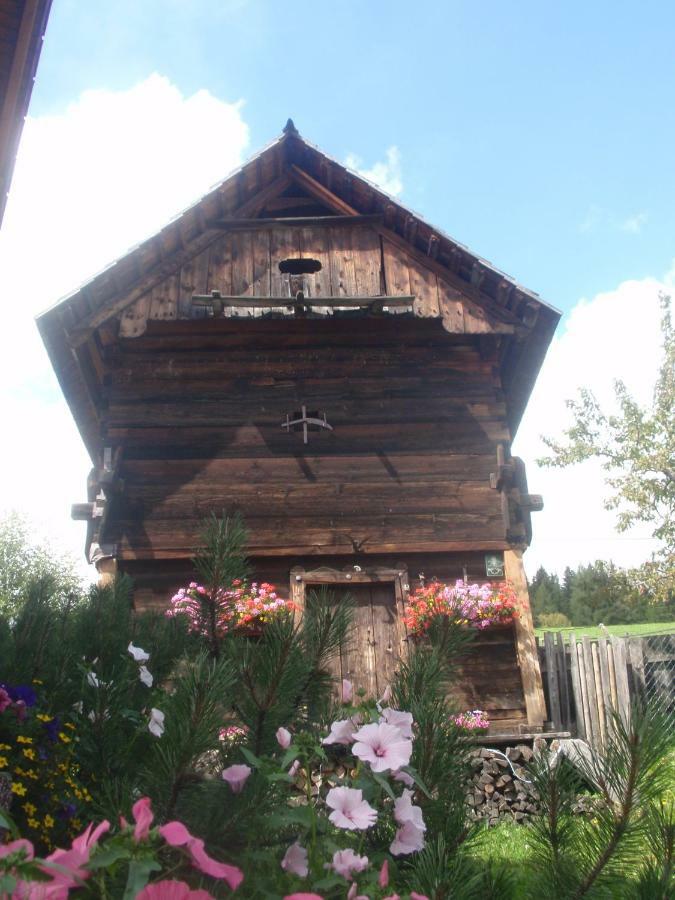 Villa Rettlhof Sankt Peter am Kammersberg Esterno foto