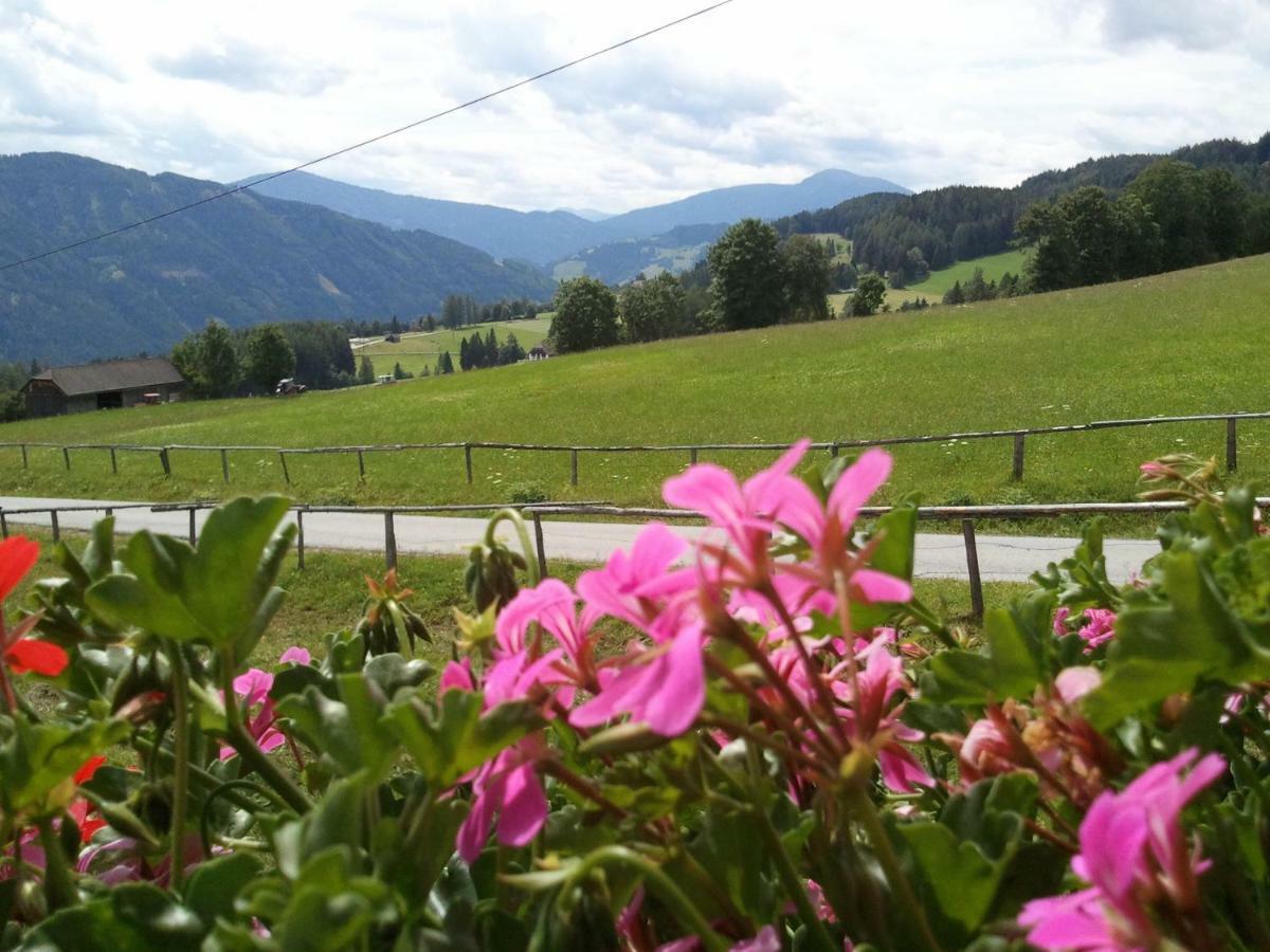 Villa Rettlhof Sankt Peter am Kammersberg Esterno foto